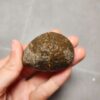 20260623_203753 Zhanguo Red Agate Pair Stone (unpolished) ZR039