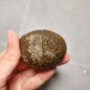 20260623_203758 Zhanguo Red Agate Pair Stone (unpolished) ZR039