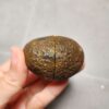 20260623_203803 Zhanguo Red Agate Pair Stone (unpolished) ZR039