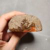 20260623_203907 Zhanguo Red Agate Stone (unpolished) ZR034
