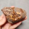 20260623_204122 Zhanguo Red Agate Pair Stone (unpolished) ZR048
