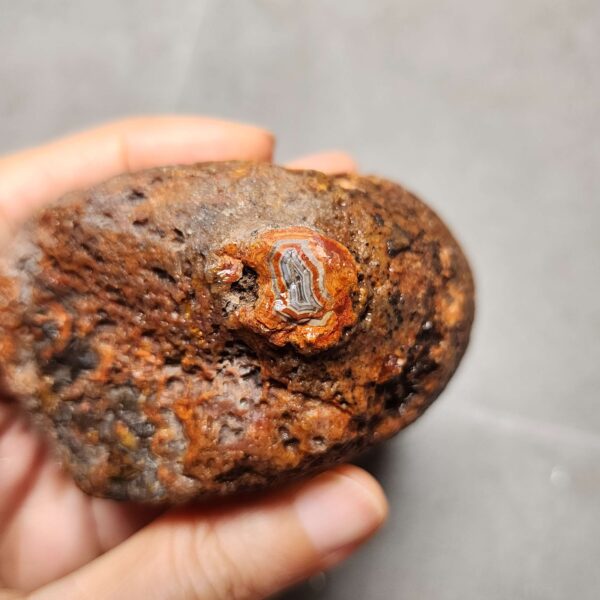 20260623_204137 Zhanguo Red Agate Pair Stone (unpolished) ZR048
