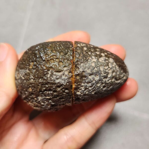 Zhanguo Red Agate Pair Stone (unpolished) ZR044