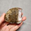 20260623_205645 Zhanguo Red Agate Stone (unpolished) ZR026