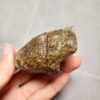 20260623_205651 Zhanguo Red Agate Stone (unpolished) ZR026