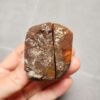 Zhanguo Red Agate Stone (unpolished) ZR029
