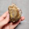 20260623_210019 Zhanguo Red Agate Stone (unpolished) ZR032