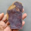 Fossilized Coral Slab C1258 (unpolished)