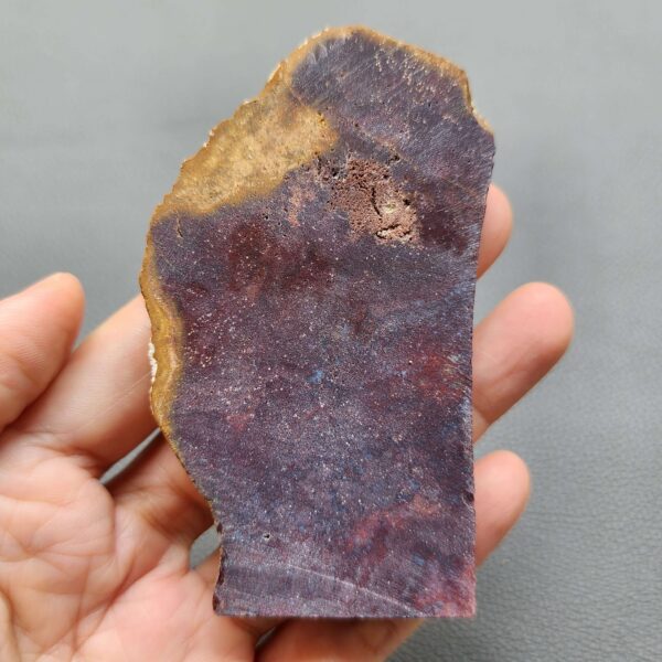 Fossilized Coral Slab C1258 (unpolished)