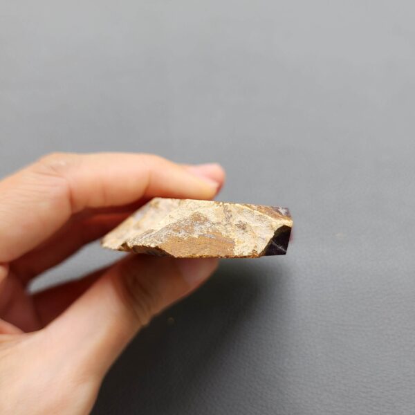 Fossilized Coral Slab C1258 (unpolished)