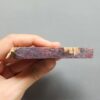 Fossilized Coral Slab C1258 (unpolished)