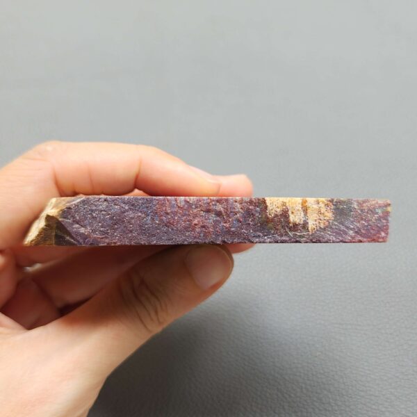 Fossilized Coral Slab C1258 (unpolished)