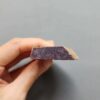 Fossilized Coral Slab C1258 (unpolished)