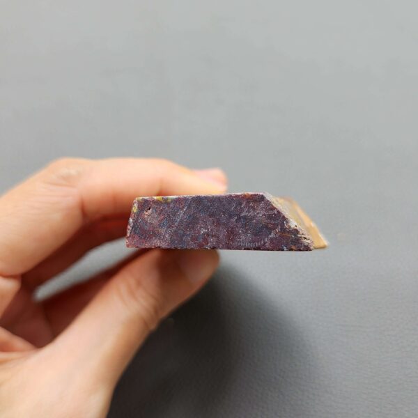 Fossilized Coral Slab C1258 (unpolished)