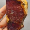 Fossilized Coral Slab C1258 (unpolished)