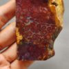 Fossilized Coral Slab C1258 (unpolished)