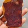Fossilized Coral Slab C1258 (unpolished)