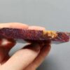 Fossilized Coral Slab C1258 (unpolished)