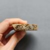 Fossilized Coral Slab C1260 (unpolished)