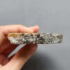 Fossilized Coral Slab C1261 (unpolished)