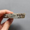 Fossilized Coral Slab C1261 (unpolished)