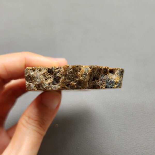 Fossilized Coral Slab C1261 (unpolished)