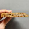 Fossilized Coral Slab C1262 (unpolished)