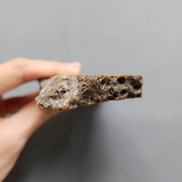 Fossilized Coral Slab C1263 (unpolished)