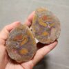 Zhanguo Red Agate Pair Stone (unpolished) ZR054