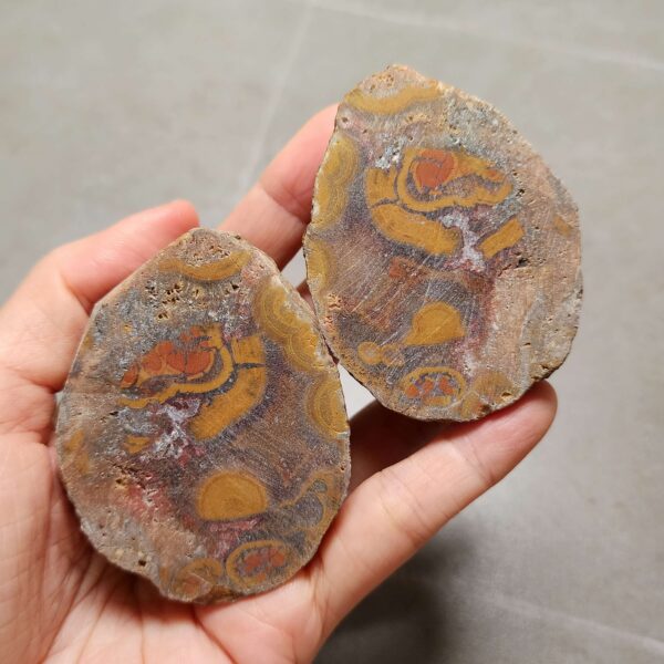 Zhanguo Red Agate Pair Stone (unpolished) ZR054