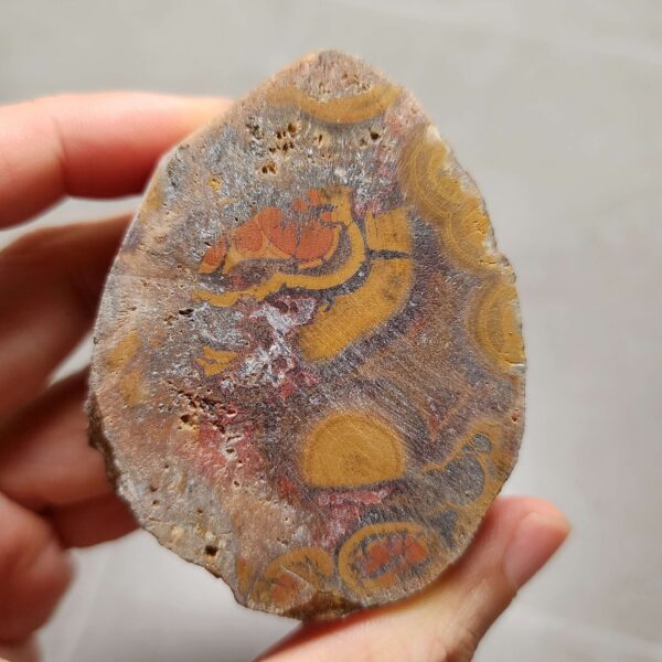 Zhanguo Red Agate Pair Stone (unpolished) ZR054