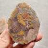 Zhanguo Red Agate Pair Stone (unpolished) ZR054