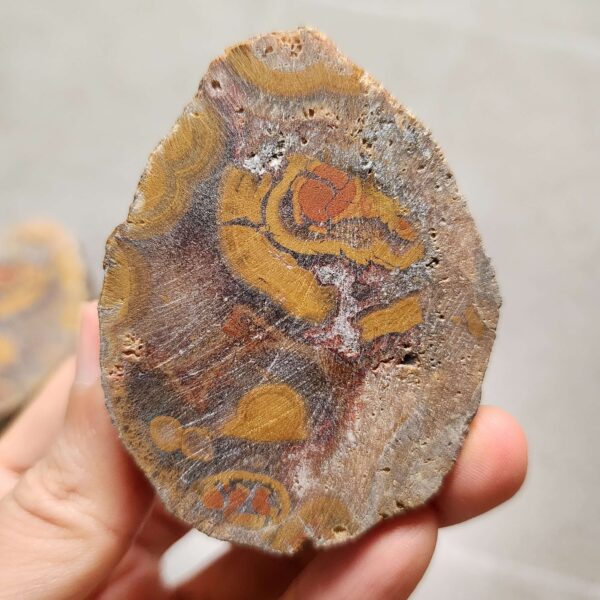 Zhanguo Red Agate Pair Stone (unpolished) ZR054