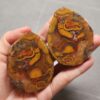 Zhanguo Red Agate Pair Stone (unpolished) ZR054