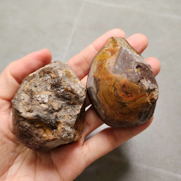 Zhanguo Red Agate Pair Stone (unpolished) ZR054