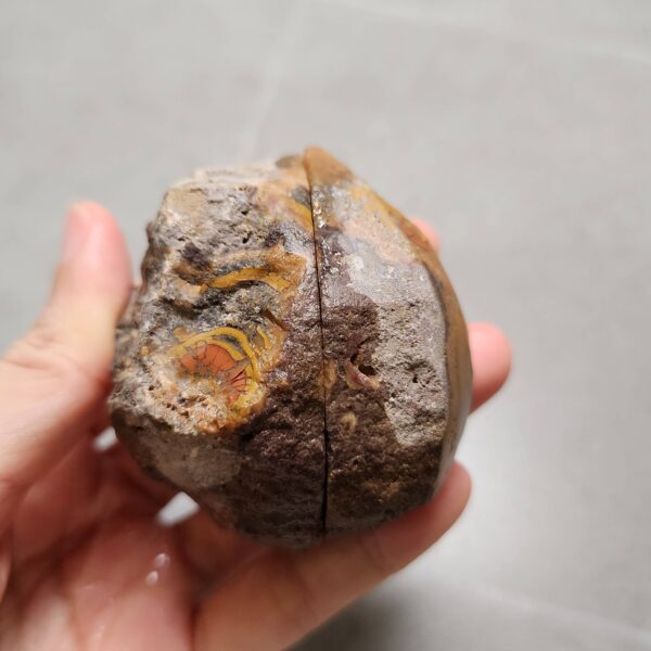 Zhanguo Red Agate Pair Stone (unpolished) ZR054