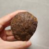 Zhanguo Red Agate Pair Stone (unpolished) ZR054
