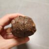 Zhanguo Red Agate Pair Stone (unpolished) ZR054