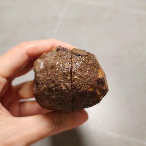 Zhanguo Red Agate Pair Stone (unpolished) ZR054