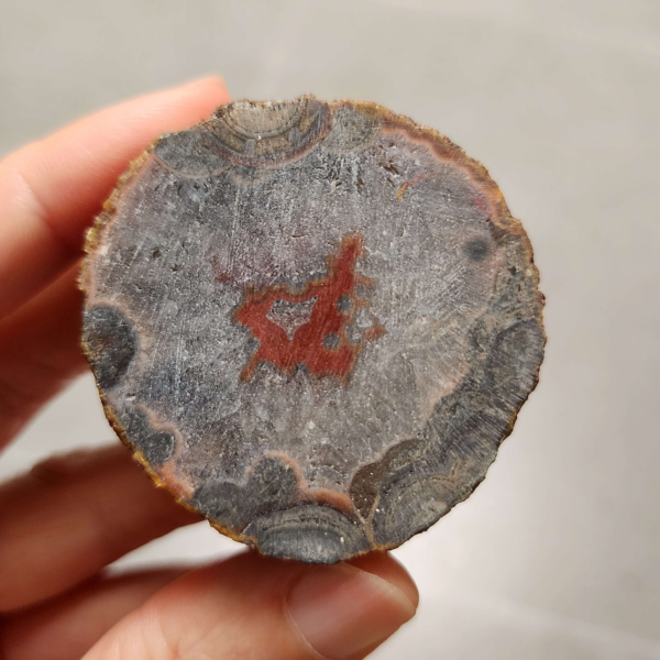 20260711_170729 Zhanguo Red Agate Pair Stone (unpolished) ZR055