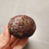 20260711_171058 Zhanguo Red Agate Pair Stone (unpolished) ZR055