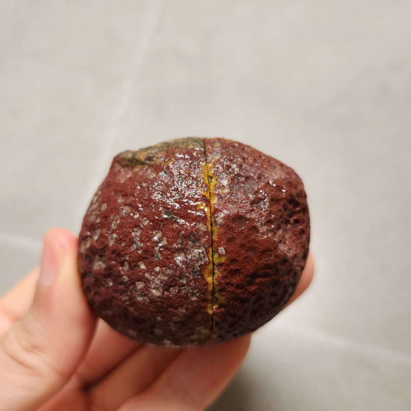 20260711_171102 Zhanguo Red Agate Pair Stone (unpolished) ZR055