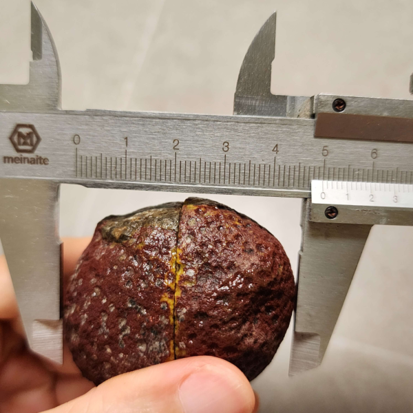 20260711_171129 Zhanguo Red Agate Pair Stone (unpolished) ZR055