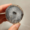20260711_171254 Zhanguo Red Agate Pair Stone (unpolished) ZR056