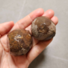 20260711_171541 Zhanguo Red Agate Pair Stone (unpolished) ZR056