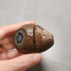 20260711_171555 Zhanguo Red Agate Pair Stone (unpolished) ZR056