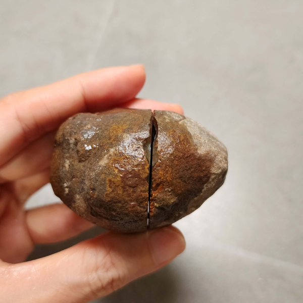 20260711_171600 Zhanguo Red Agate Pair Stone (unpolished) ZR056