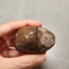 20260711_171604 Zhanguo Red Agate Pair Stone (unpolished) ZR056