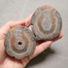 20260711_171732 Zhanguo Red Agate Pair Stone (unpolished) ZR057