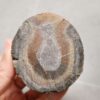 20260711_171745 Zhanguo Red Agate Pair Stone (unpolished) ZR057